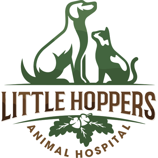 Little Hoppers Vets - Crowborough logo