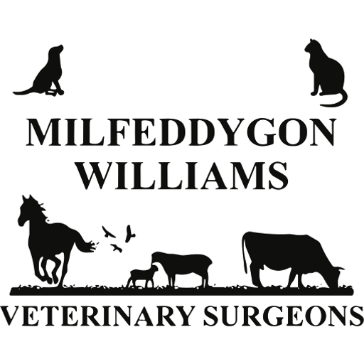 Williams Vets - Machynlleth logo