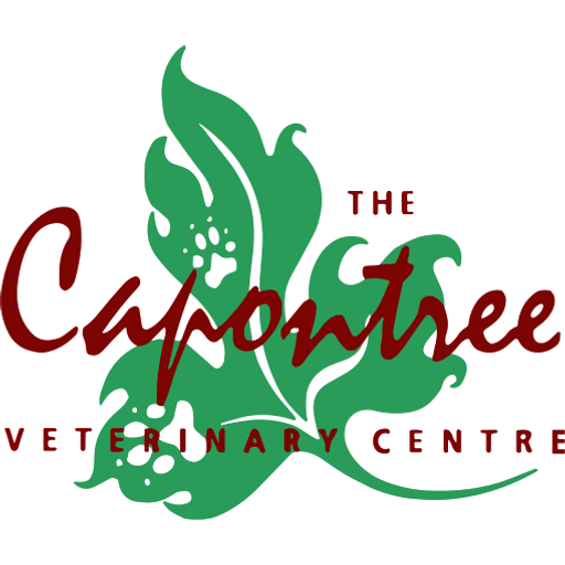 Capontree Vets - Longtown logo