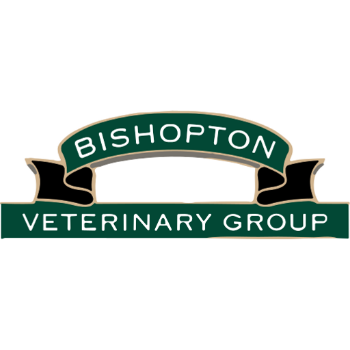 Bishopton Vets - Thirsk logo