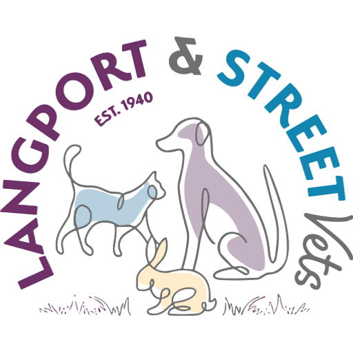 Langport and Street Vets - Langport logo