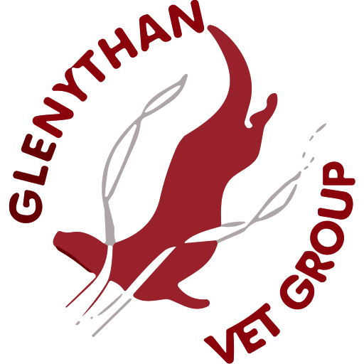 Glenythan Vet Group - Methlick logo