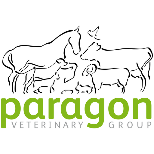 Paragon Veterinary Group - Dalston logo