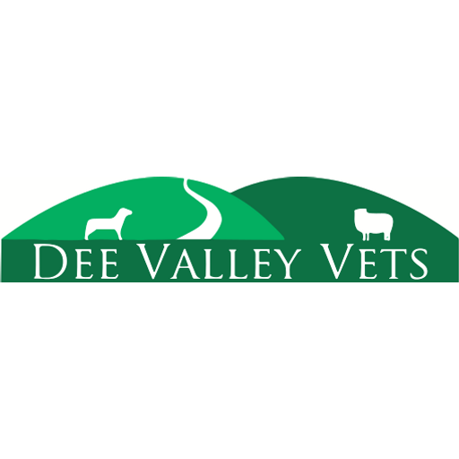 Dee Valley Vets - Corwen logo
