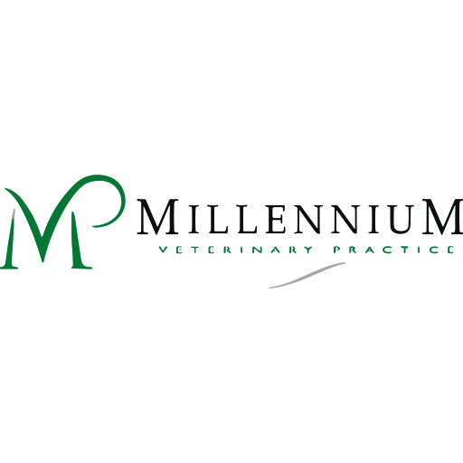 Millennium Veterinary Practice - Braintree logo