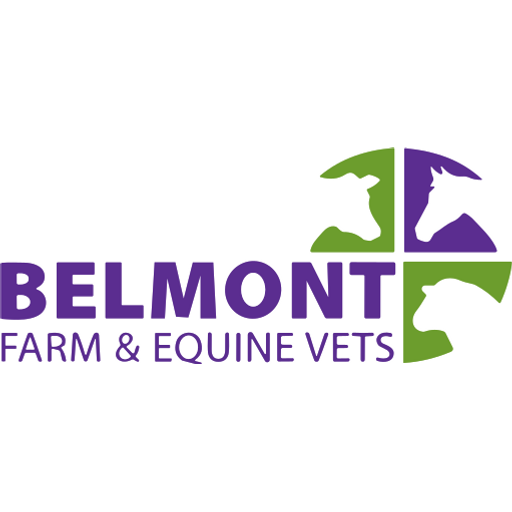Belmont Farm and Equine Vets - Ledbury logo