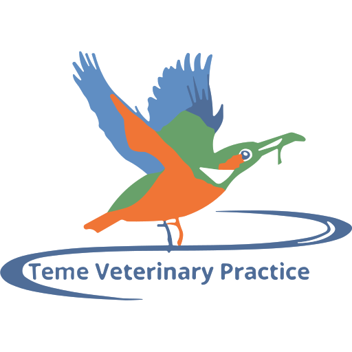 Teme Vets - Ludlow logo