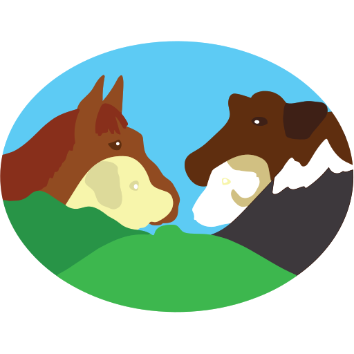 Wern Vets - Gaerwen logo