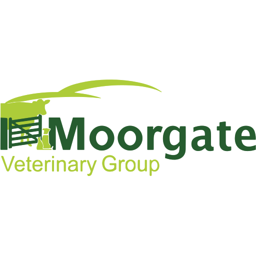 Moorgate Veterinary Group - Moretonhampstead logo