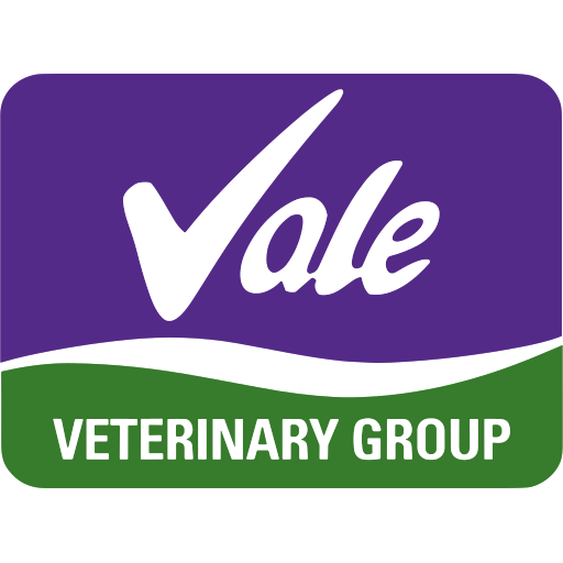 Vale Veterinary Group - Kidderminster logo