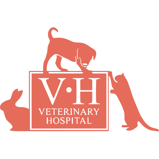 The Veterinary Hospital - Skellingthorpe logo