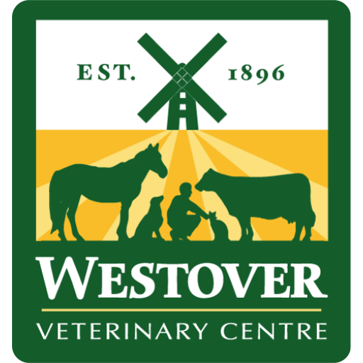 Westover Veterinary Centre - North Walsham logo