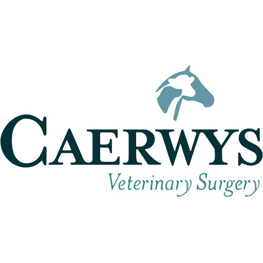 Caerwys Veterinary Surgery - Caerwys logo