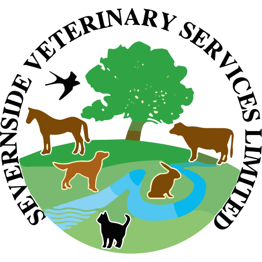 Severnside Veterinary Group - Coleford logo