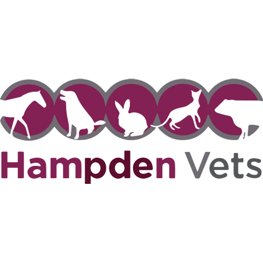 Hampden Vets - Watermead logo