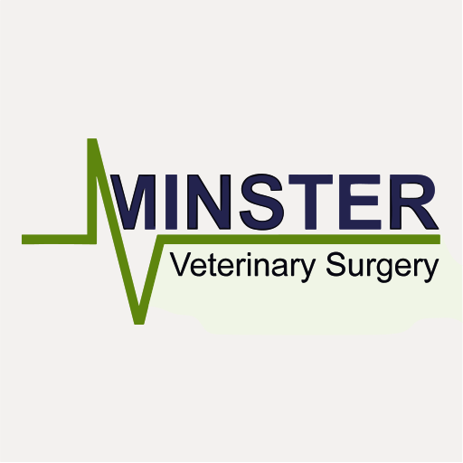 Minster Veterinary Services - South Petherton logo