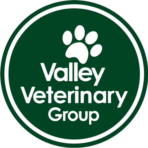 Valley Veterinary Group - Pangbourne logo