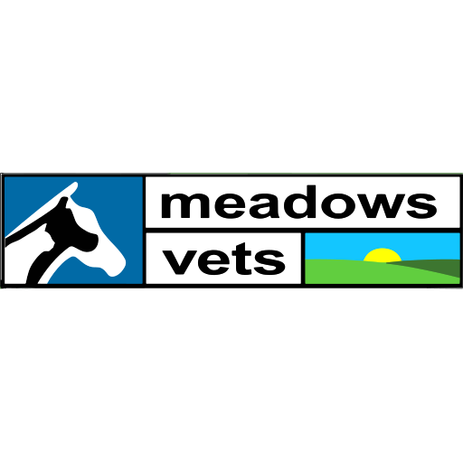Meadows Vets - Oldmeldrum logo