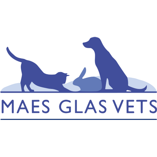 Maesglas Vets - Porthcawl logo