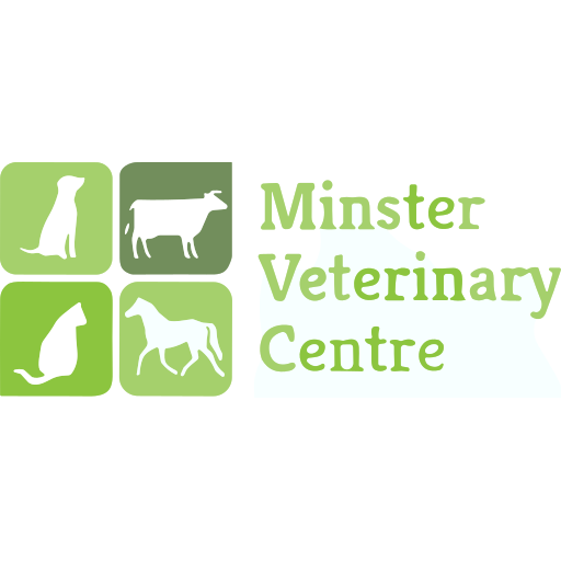Minster Veterinary Centre - Fernwood logo