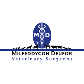 Milfeddygon Deufor Veterinary Surgery logo