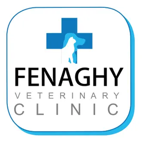 Fenaghy Vets - Antrim logo