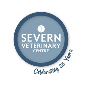 Severn Vets - Tybridge House logo