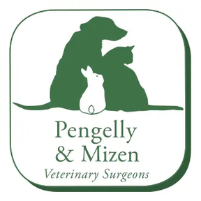 Pengelly and Mizen logo