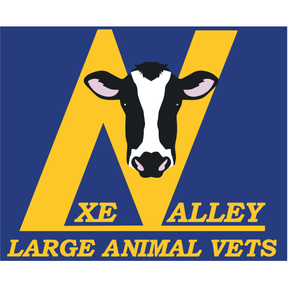 Axe Valley Large Animal Vets logo