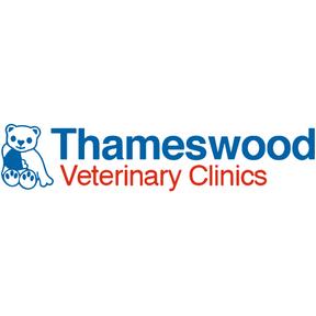 Thameswood Vets - Greenbridge logo