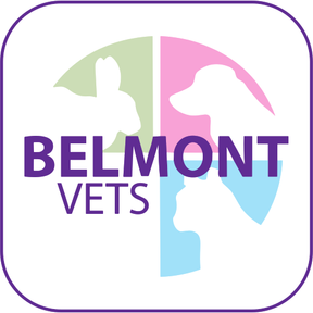 Belmont Vets logo
