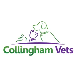 Collingham Vets logo