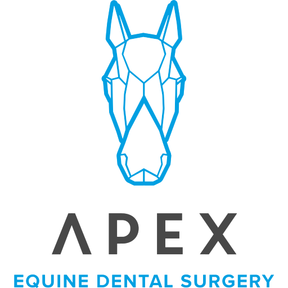 Apex Equine Dental Surgery logo