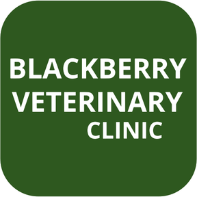 Blackberry Veterinary Clinic logo