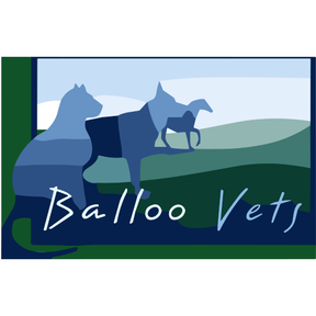 Balloo Vets logo