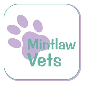 Mintlaw Vet Surgery logo