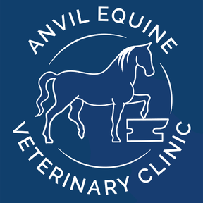 Anvil Equine Veterinary Clinic logo