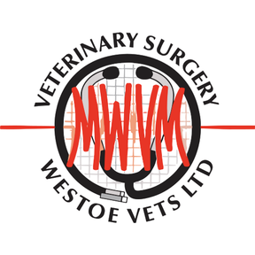 Westoe Vets logo