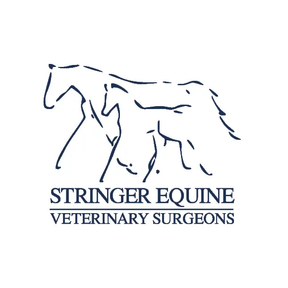 Stringer Equine logo