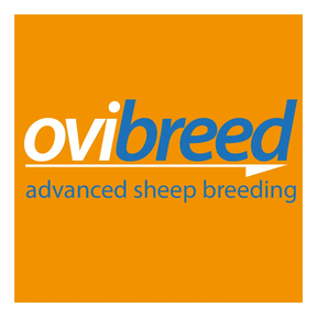 Ovibreed logo
