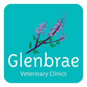 Glenbrae Vets - Bearsden logo