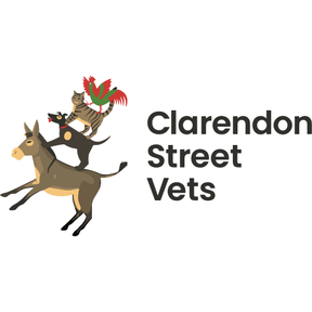 Clarendon Street Veterinary Surgery - Cambridge logo