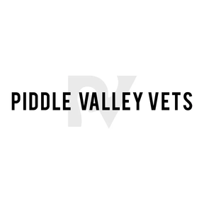 Piddle Valley Vets logo