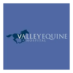 Valley Equine Hospital logo
