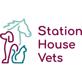 Station House Vets logo