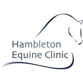 Hambleton Equine Clinic logo