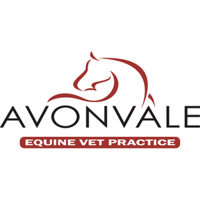 Avonvale Equine Vet Practice logo