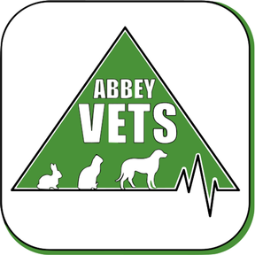 Abbey Vets - Chester-le-Street logo