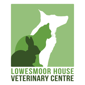 Lowesmoor Vets logo