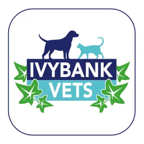Ivy Bank Vet - Irvine logo